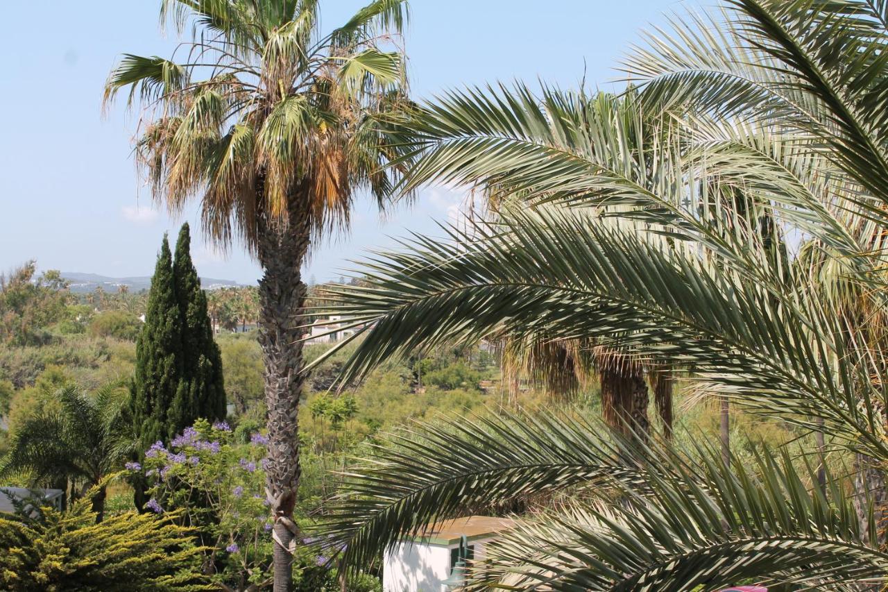 New View Sotogrande Marina - Jungla Del Loro Apartment ภายนอก รูปภาพ